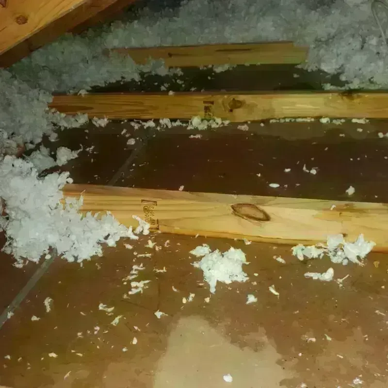 Attic Water Damage in Vandiver, AL